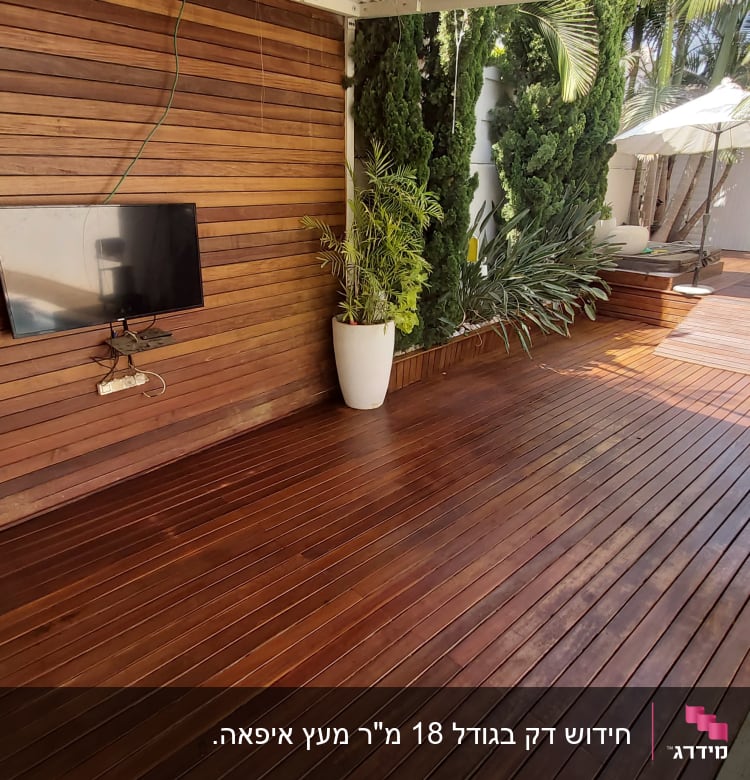 דק עץ עם צמחים ועציצים גדולים